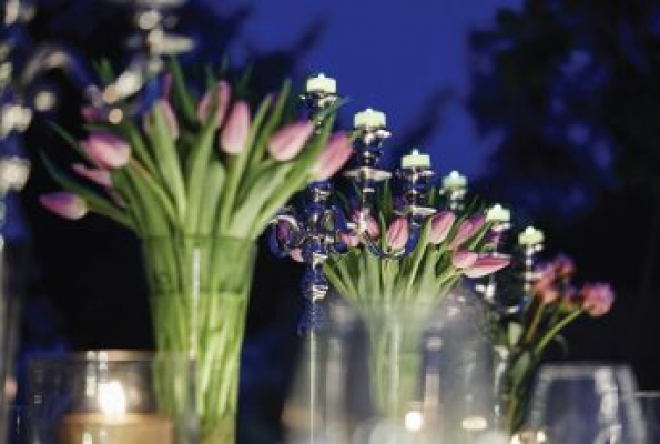 Hotels in Chandigarh